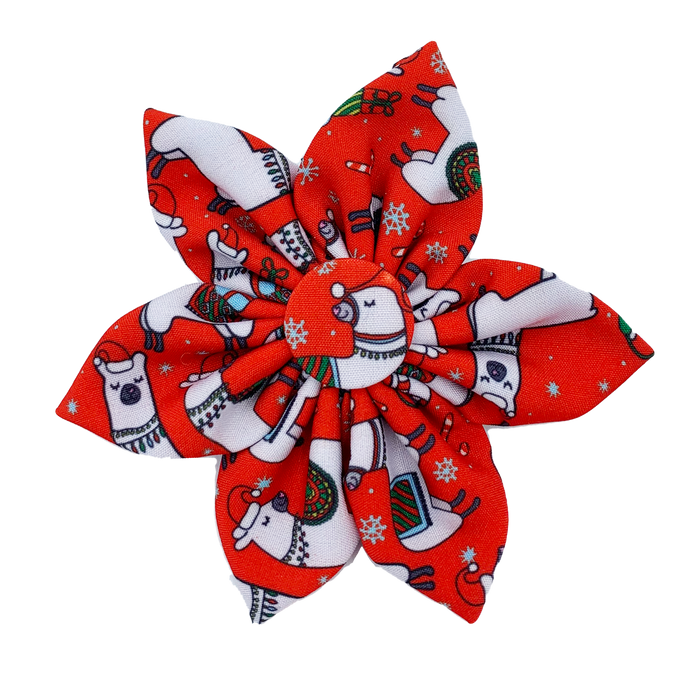 Pet wearing Merry Llamas Pinwheel.