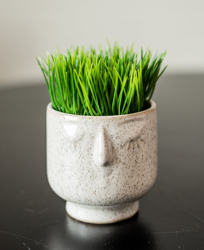 Mini Potted Grass