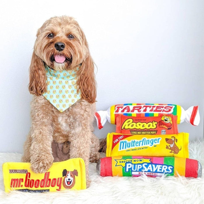 Mr. Goodboy (Stuffless)