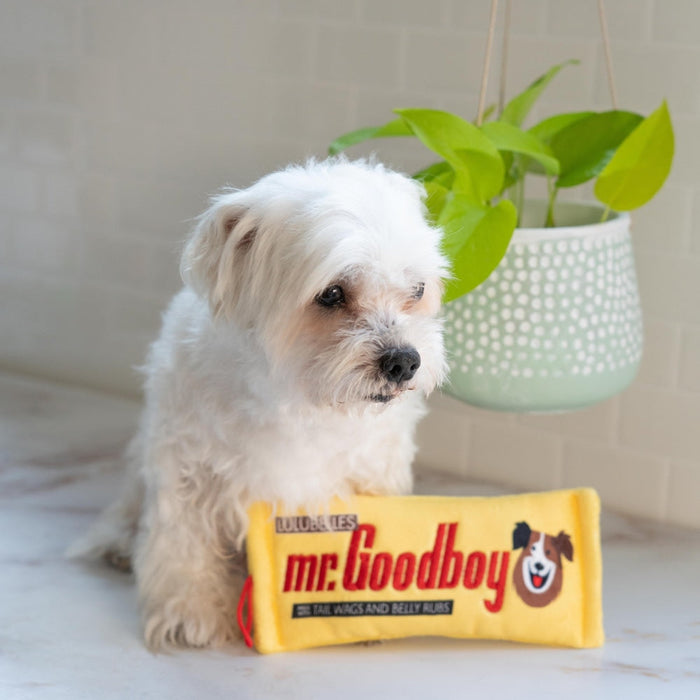 Mr. Goodboy (Stuffless)