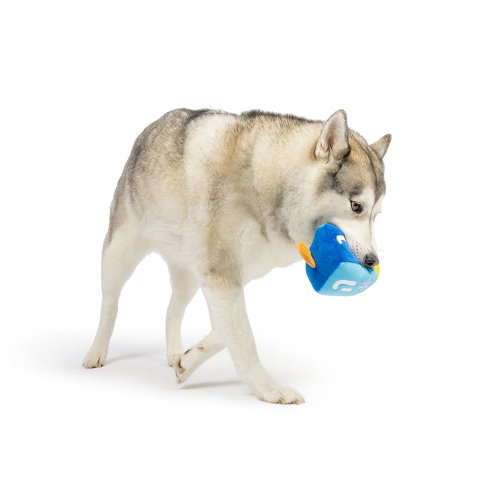 Dog holding a blue dreidel plush toy featuring Mutt-Zel Tov Dreidel (Double Sided).