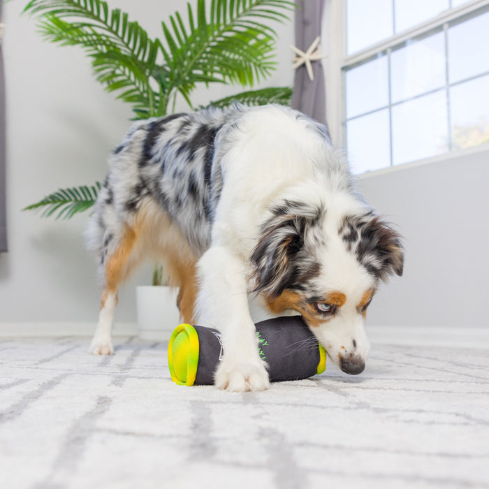 Dog playing with a bright yellow green toy indoors featuring Muttster Energy.