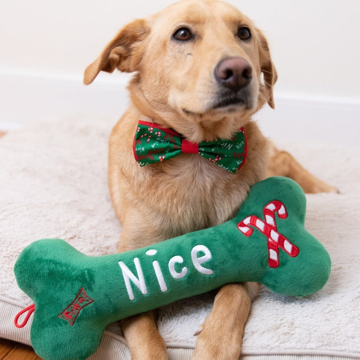 Dog with Naughty & Nice Bone (Double Sided).