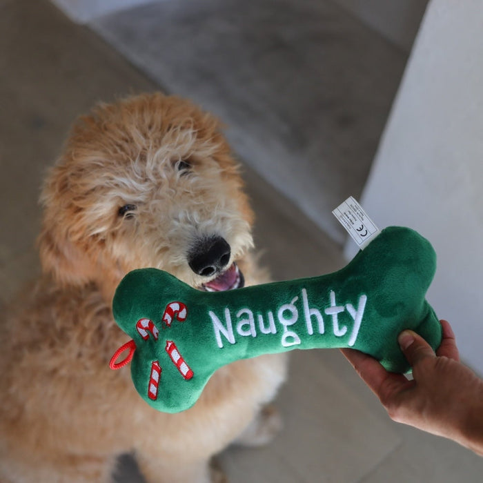 Naughty & Nice Bone (Double Sided) 2021
