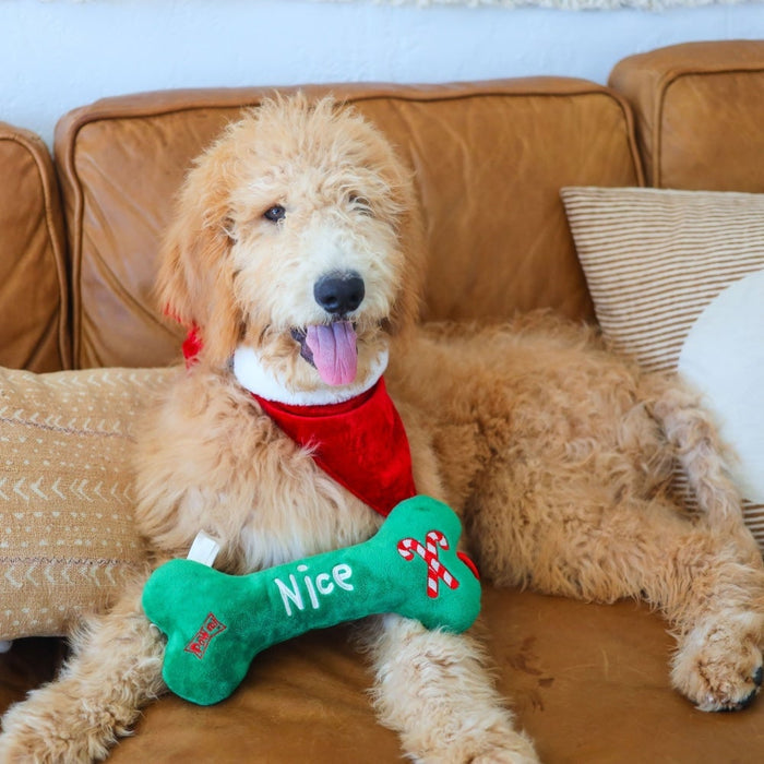 Naughty & Nice Bone (Double Sided) 2021