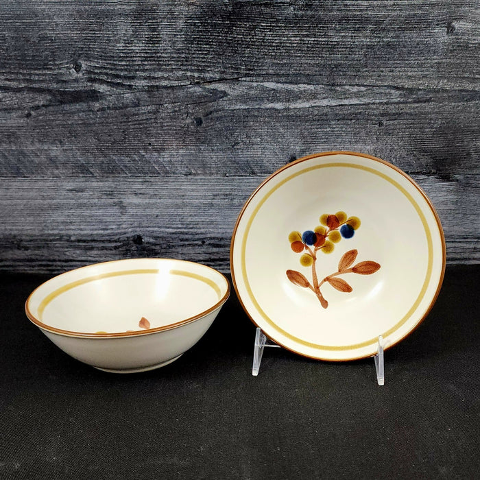 Noritake October Fest Set of 2 Soup Bowls Stoneware Brown Blue Yellow Floral