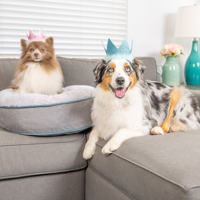 Cat with Party Crowns with SnugFit® on a couch.