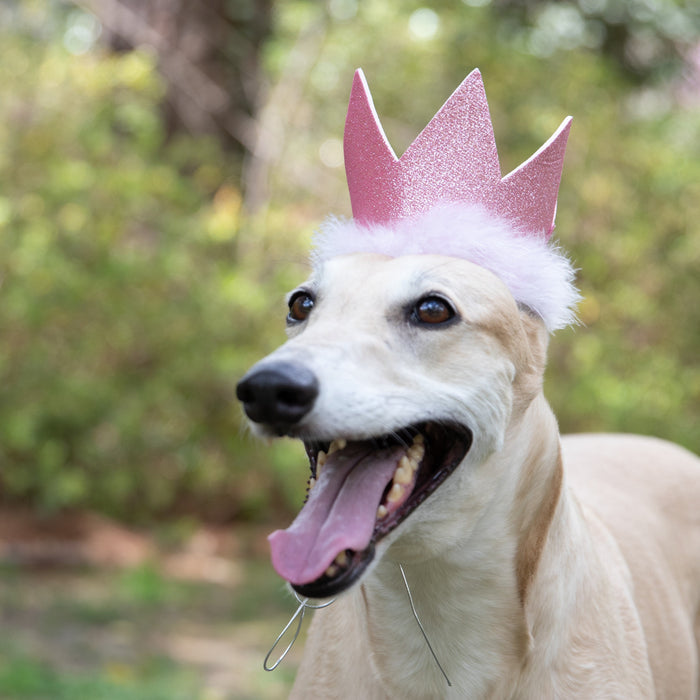 Party Crowns With Snugfit