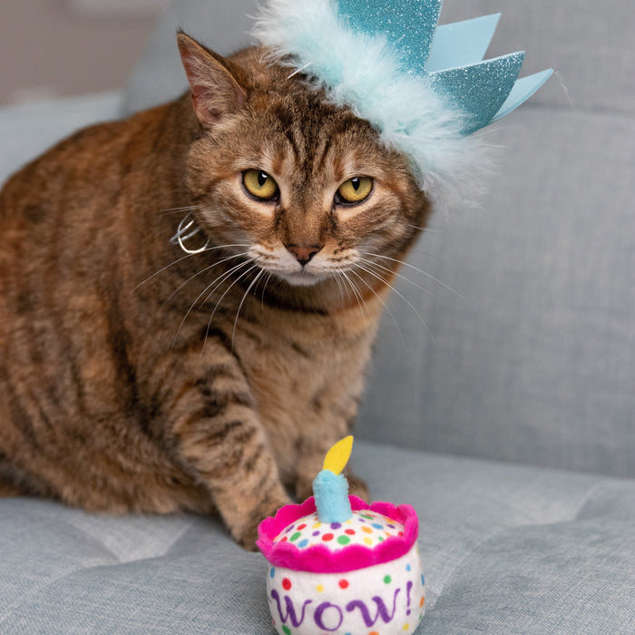 Party Crowns With Snugfit
