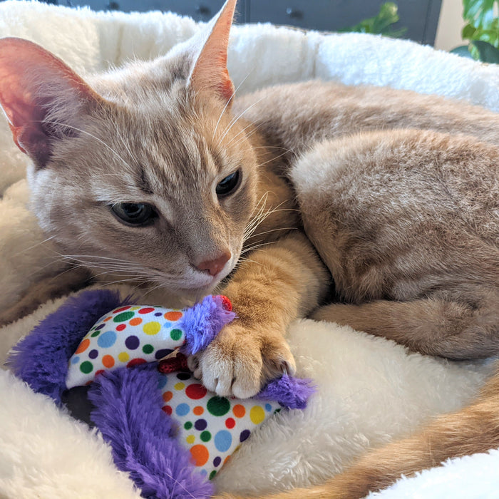 Cat with Party Hats Cat Toy.