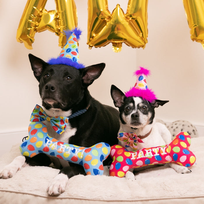 Party Hats With Snugfit