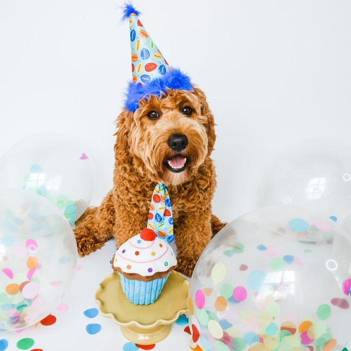 Party Hats With Snugfit