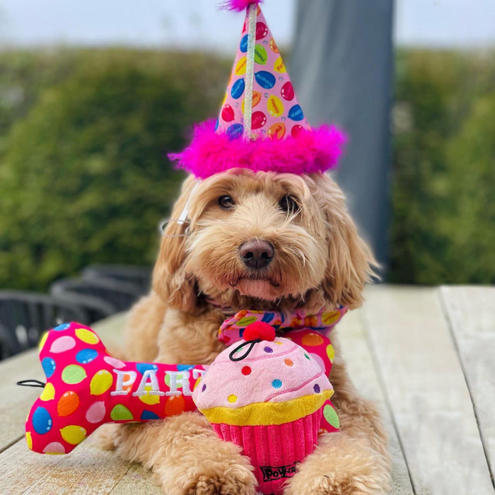 Party Hats With Snugfit