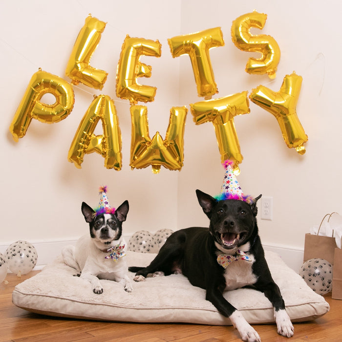 Party Hats With Snugfit