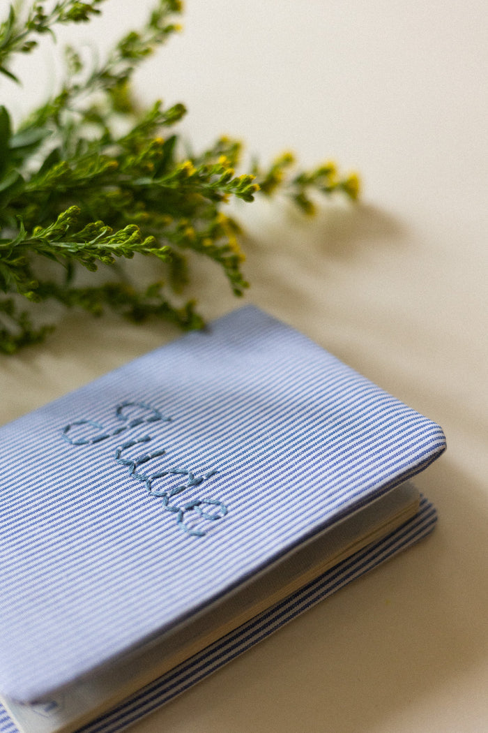 Passport holder - Blue Stripes