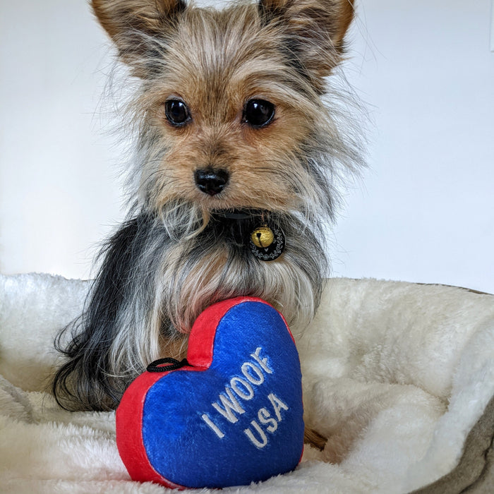 Paws & Stripes Heart (Double Sided)