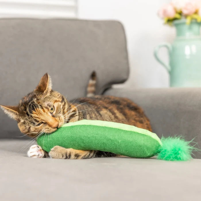 Cat with Pickle Kicker Cat Toy.
