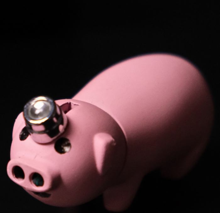 Piggie Lighter