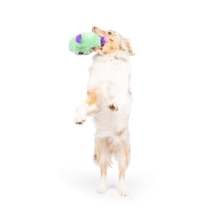 Pop 'n Fetch Zombie Pop-Eye Dog Toy