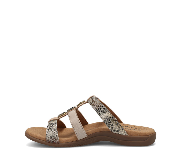 Prize 4 - Taupe Snake Multi