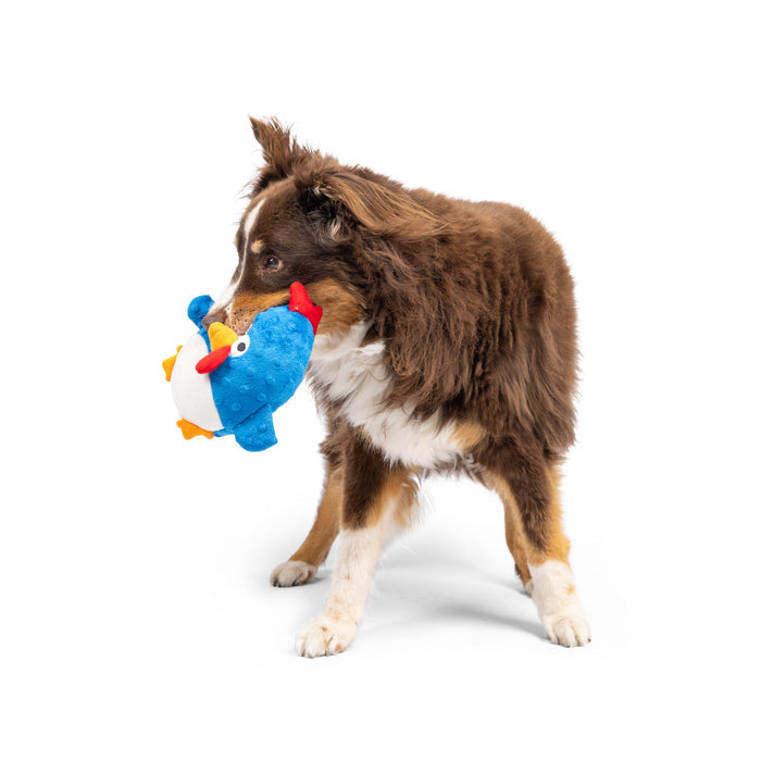 Dog with Pudgies Chicken Gordon Bleu Dog Toy.