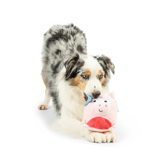 Dog with Pudgies Flying Piggasus Dog Toy on a white background.