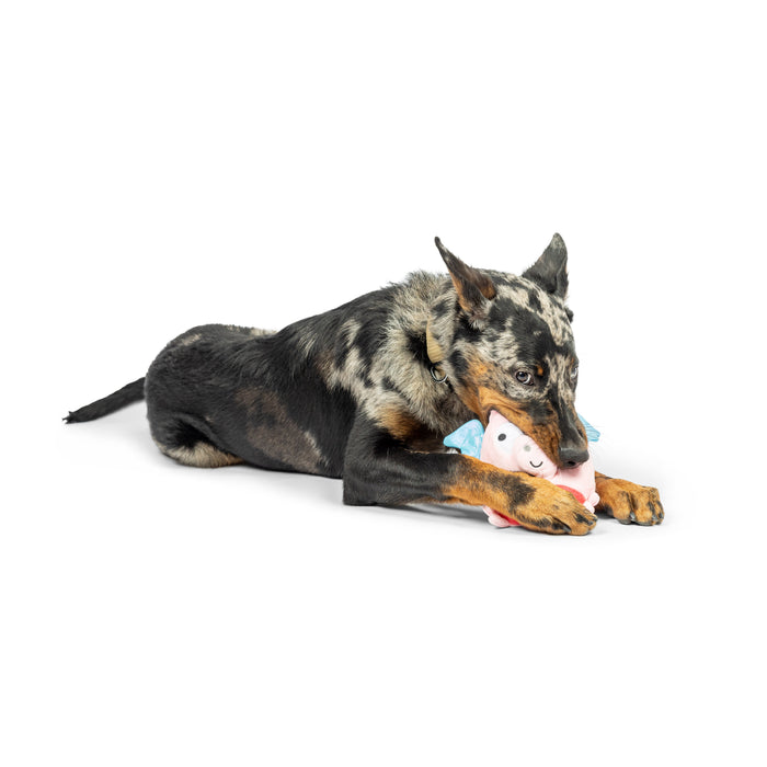 Pudgies Flying Piggasus Dog Toy