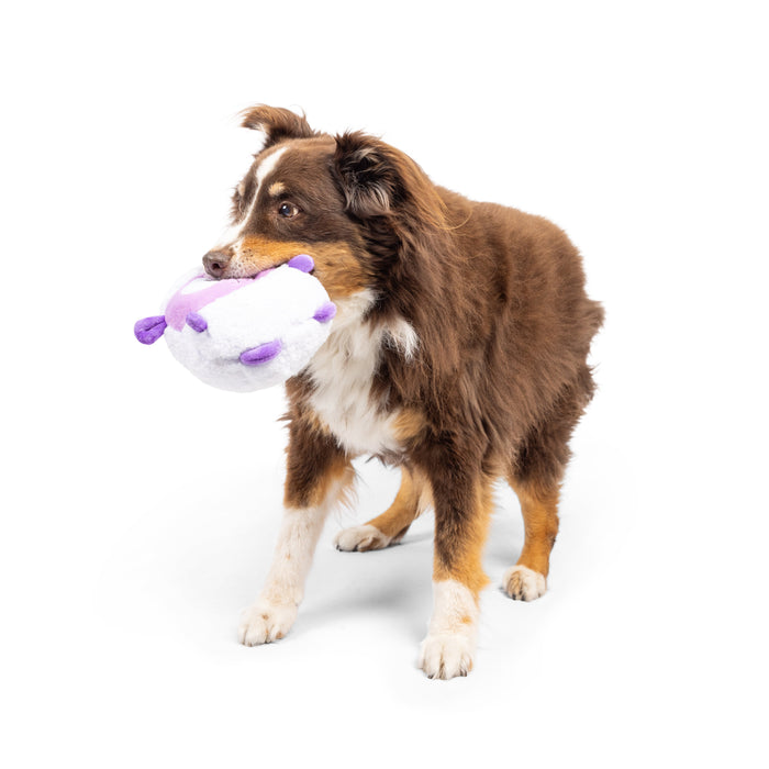 Dog with Pudgies Lady Baba Dog Toy on a white background.