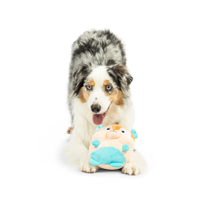 Dog with Pudgies Nutty Buddy Dog Toy on a white background.