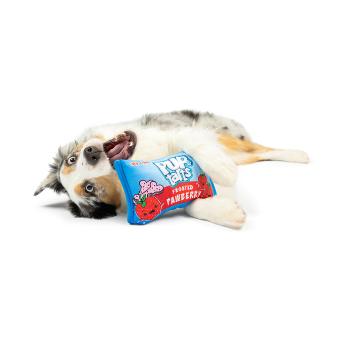 Dog with a blue toaster pastry plush toy featuring Pup-Tarts Frosted Pawberry (Double Sided).