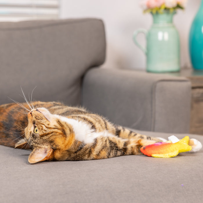 Cat with Rainbow Guppy Cat Toy.