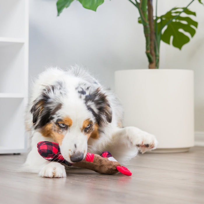 Reindeer Bone
