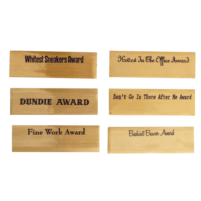 Replica Funny The Office Official Dundie Award W/ Interchangeable Placards