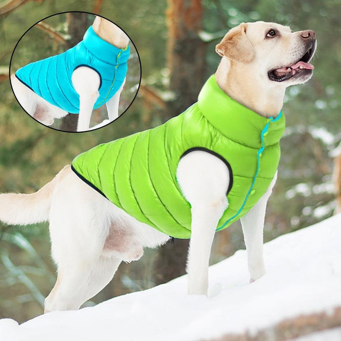 Reversible Dog Puffer Jacket