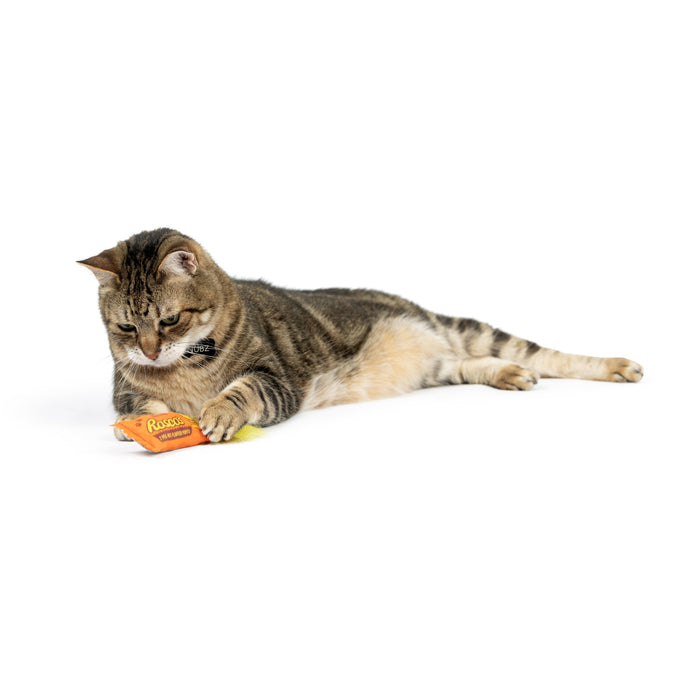 Cat with Roscos Fluffer Puffs Cat Toy.