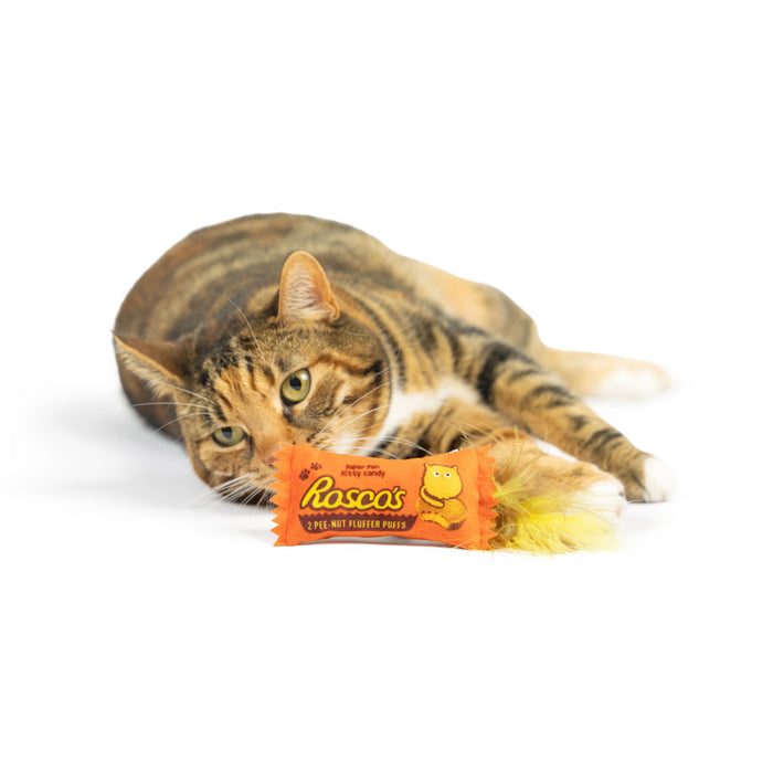 Cat with Roscos Fluffer Puffs Cat Toy.