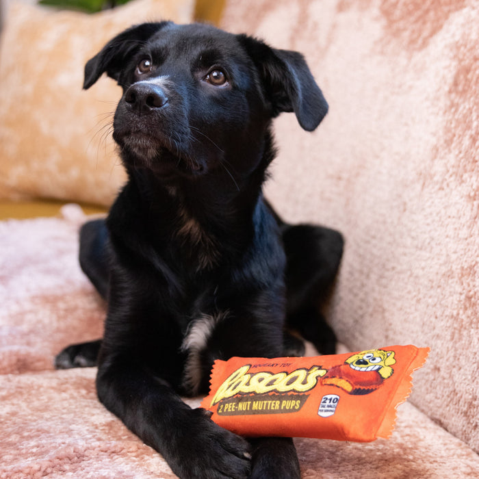 Packaged Rosco's Pee-Nut Mutter Pups.
