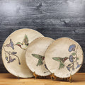 Ruby Throated Hummingbird Dinner and Salad Plate Set of 3 Embossed by Blue Sky
