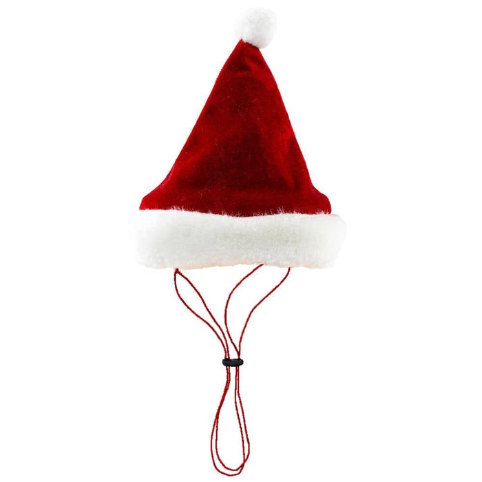 Dog wearing Santa Hat with SnugFit® on a white background.