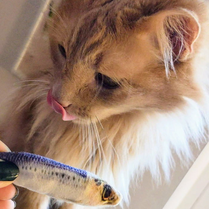 Cat with Sardine Cat Toy.