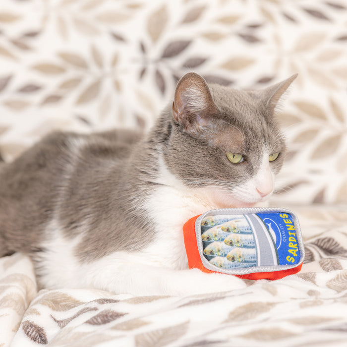 Sardine Tin Cat Toy
