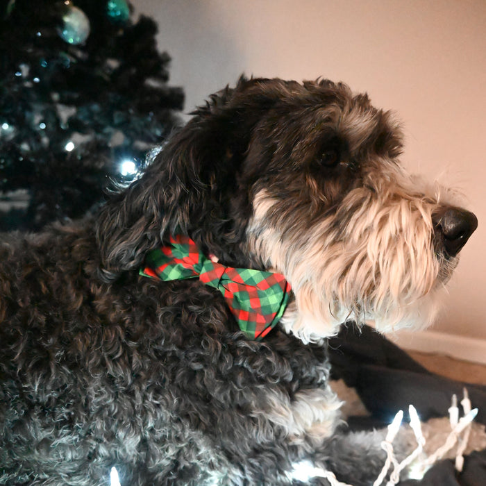 Scottish Check Bow Tie