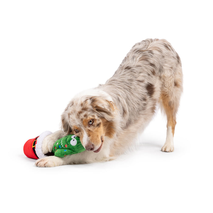 Seek 'n Treat Prickly & Bright Pawt Dog Toy