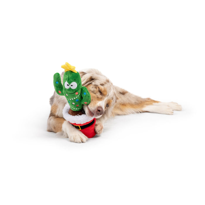 Seek 'n Treat Prickly & Bright Pawt Dog Toy