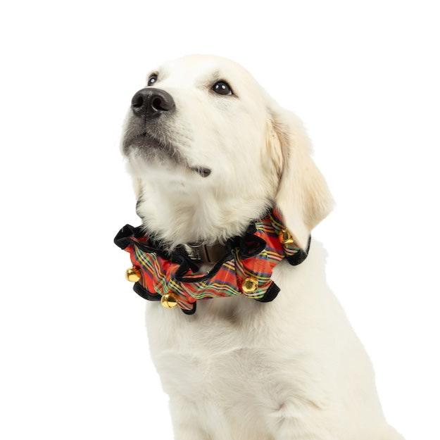 Dog wearing a Shiny Christmas Plaid Scrunchie.