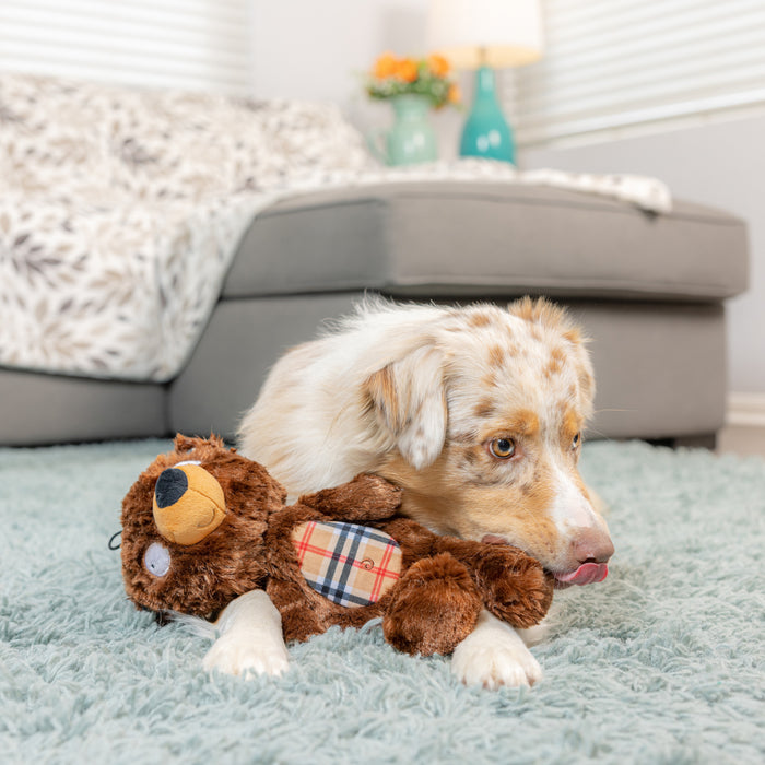 Dog lying with brown bear plush toys featuring Slappies® Beary Styles.