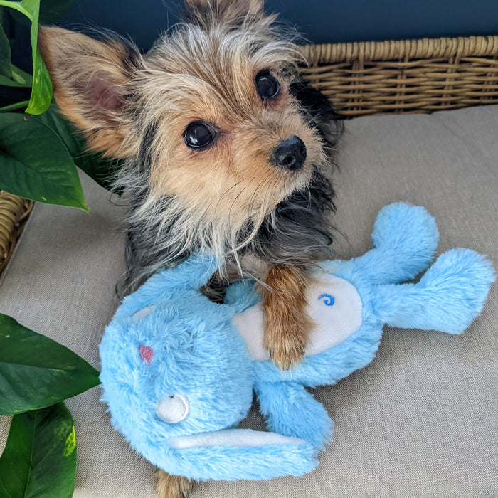 Dog with Slappies® Betty Bunny.