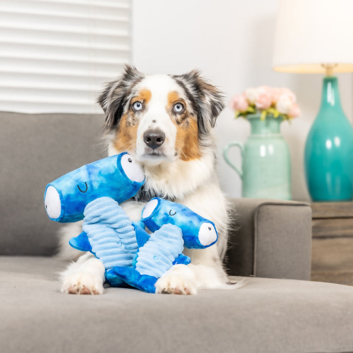 Dog with a blue hammerhead shark plush toy featuring Slappies® Jack Hammerhead.