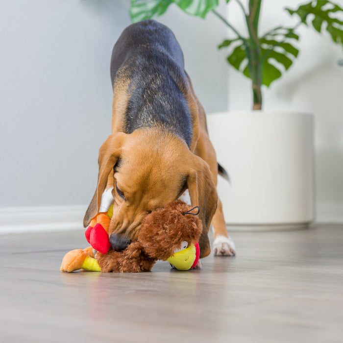 Dog playing with a colorful turkey plush toy indoors featuring Slappies® Wishbone Turkey.