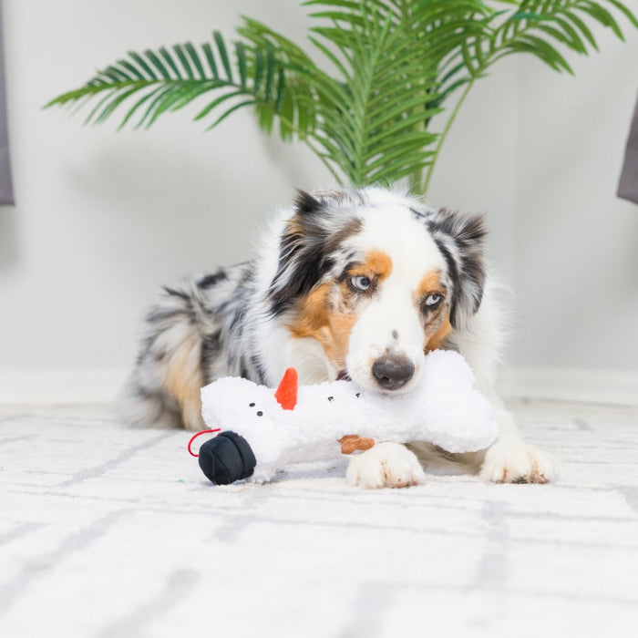 Dog with Snowman Bone.